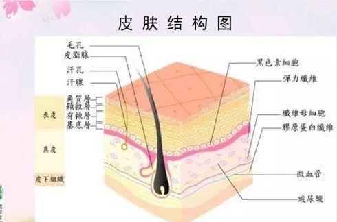 吳越學(xué)校2019新課程發(fā)布會重磅來襲！速來圍觀！